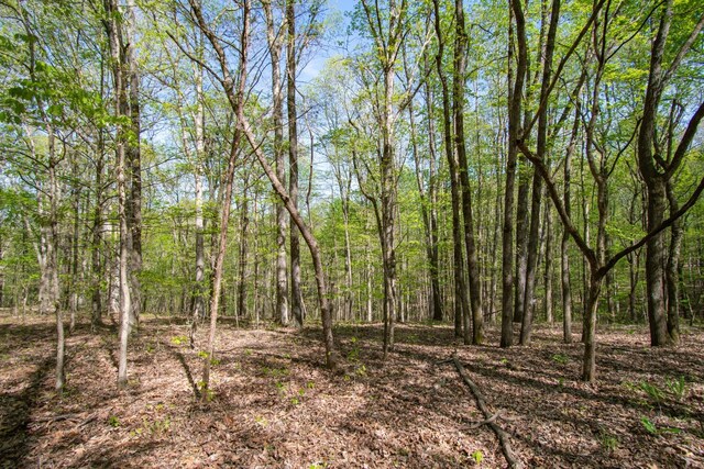 1555 Dog Hollow Rd, Lynnville, TN 38472 - photo 12