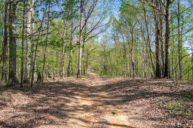 1555 Dog Hollow Rd, Lynnville, TN 38472 - photo 1