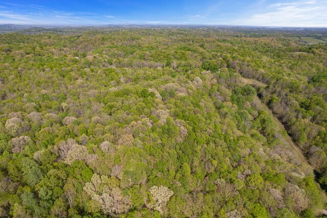1555 Dog Hollow Rd, Lynnville, TN 38472 - photo 10