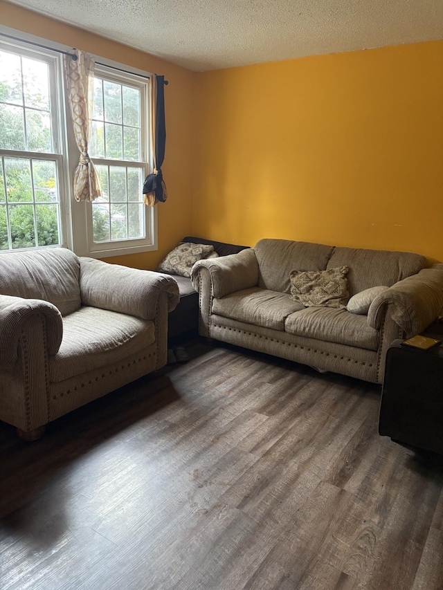 224 Brevard Ct, Nashville, TN 37211 - living area featuring wood finished floors and a textured ceiling