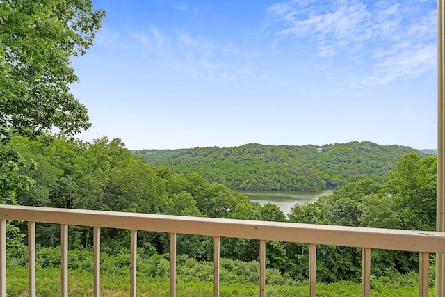 4652 Sparta Hwy, Smithville, TN 37166 - photo 3