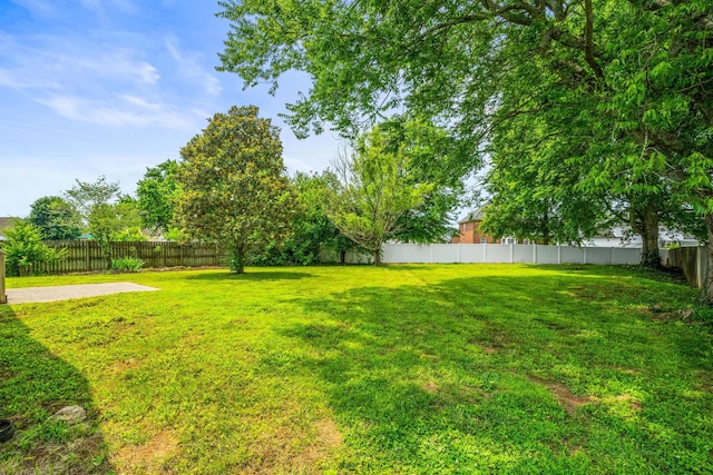 406 Remington Ave, Gallatin, TN 37066 - photo 23