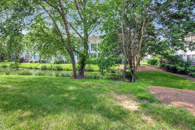 1284 Heritage Landing Dr, Chattanooga, TN 37405 - view of yard
