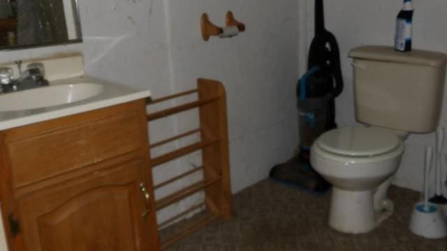 105 Log Home Ln, Moss, TN 38575 - bathroom with toilet and vanity