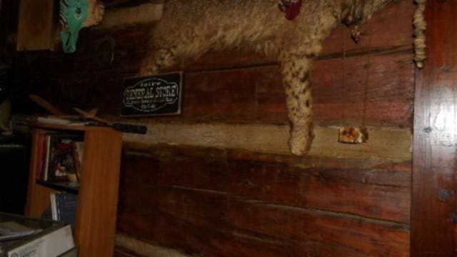 105 Log Home Ln, Moss, TN 38575 - detailed view