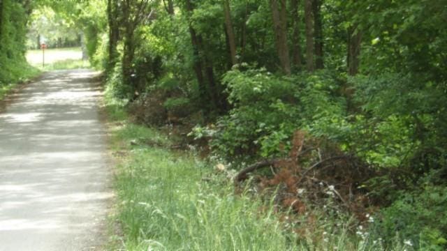 105 Log Home Ln, Moss, TN 38575 - view of street