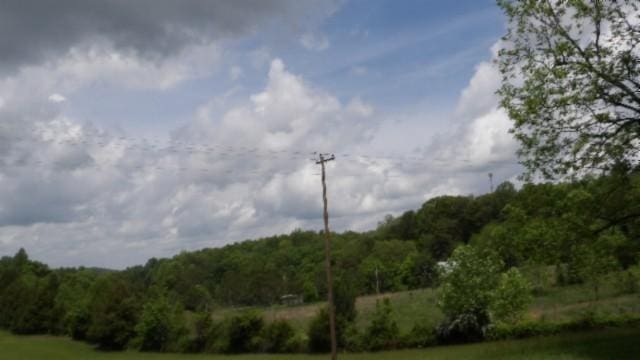 105 Log Home Ln, Moss, TN 38575 - exterior space featuring a forest view