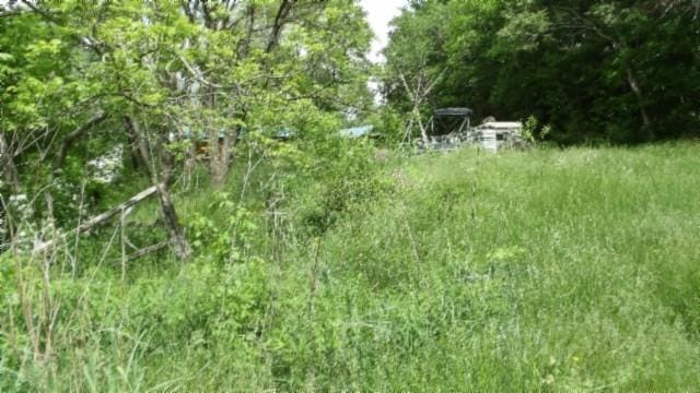 105 Log Home Ln, Moss, TN 38575 - view of local wilderness