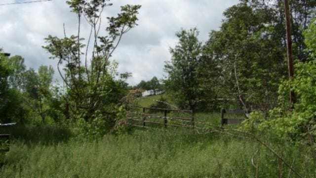 105 Log Home Ln, Moss, TN 38575 - view of yard