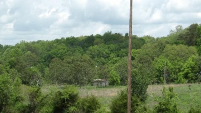 105 Log Home Ln, Moss, TN 38575 - view of woods