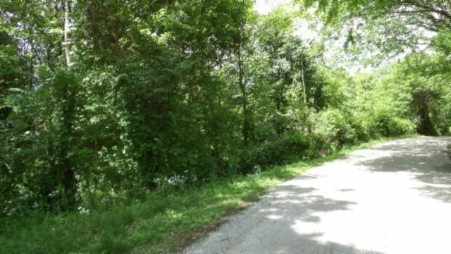 105 Log Home Ln, Moss, TN 38575 - view of street with a forest view