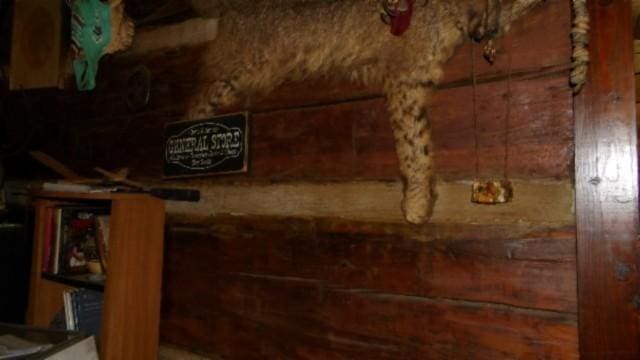 105 Log Home Ln, Moss, TN 38575 - detailed view