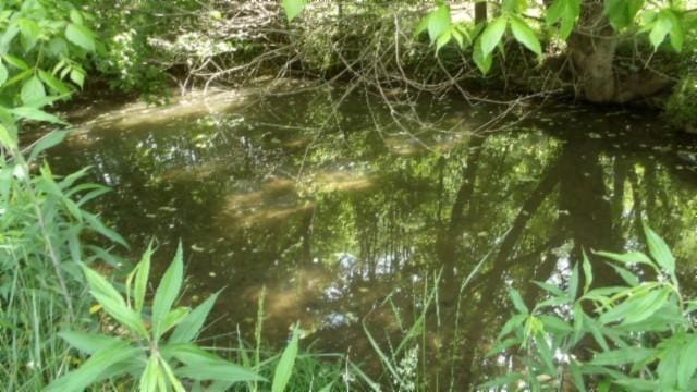 105 Log Home Ln, Moss, TN 38575 - view of undeveloped land
