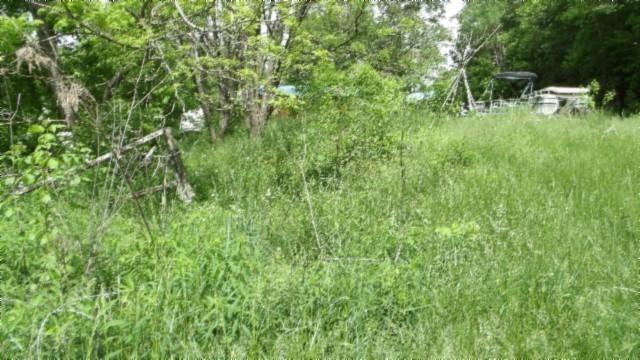 105 Log Home Ln, Moss, TN 38575 - view of yard