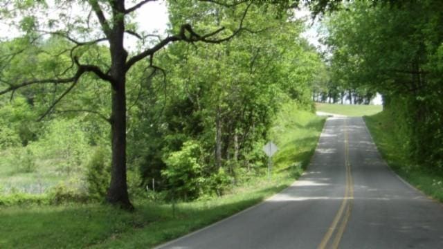 105 Log Home Ln, Moss, TN 38575 - view of asphalt street