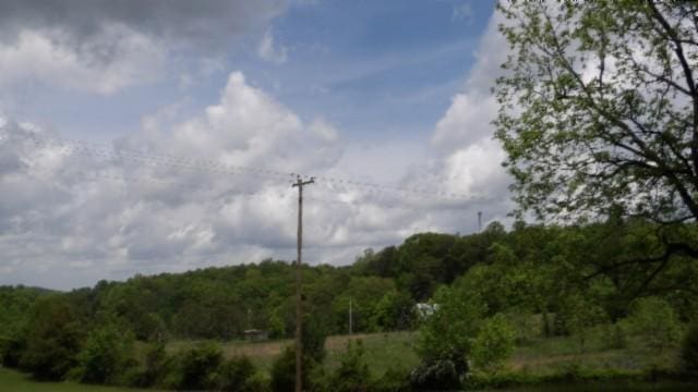 105 Log Home Ln, Moss, TN 38575 - view of woods