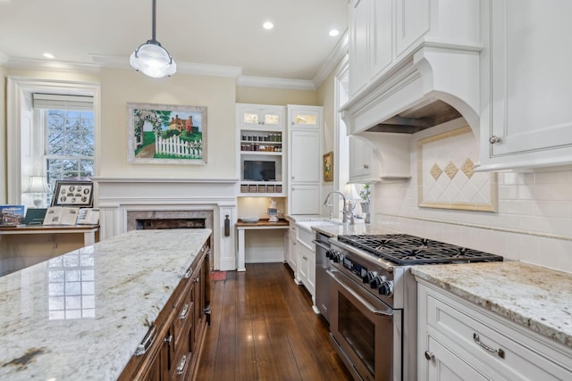 224 3rd Ave S, Franklin, TN 37064 - kitchen with stainless steel appliances, white cabinets, dark wood-style floors, light stone countertops, and crown molding
