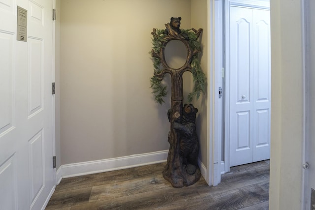818 Golf View Blvd Unit 1303, Pigeon Forge, TN 37863 - foyer with dark wood finished floors and baseboards