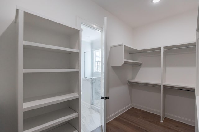 3168 Long Branch Cir, Franklin, TN 37064 - walk in closet featuring dark wood-style flooring