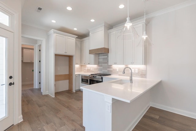 3168 Long Branch Cir, Franklin, TN 37064 - kitchen featuring appliances with stainless steel finishes, premium range hood, a sink, tasteful backsplash, and light wood-style floors