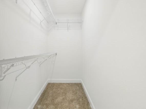 128 Anderson Pl, Clarksville, TN 37042 - photo 28