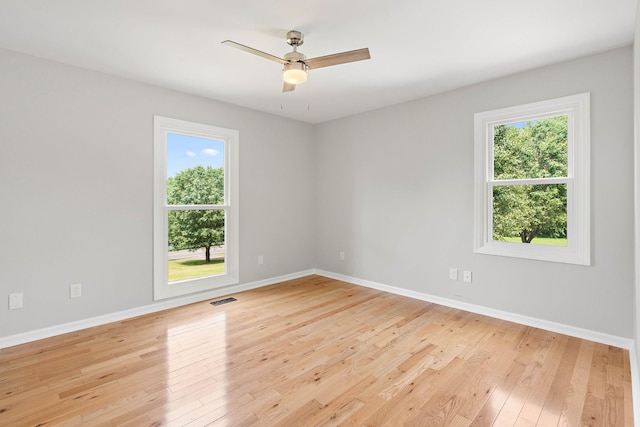 2952 Carters Creek Station Rd, Columbia, TN 38401 - empty room featuring healthy amount of natural light, light wood-type flooring, and baseboards