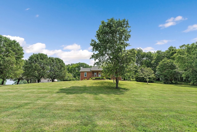 2952 Carters Creek Station Rd, Columbia, TN 38401 - view of green lawn