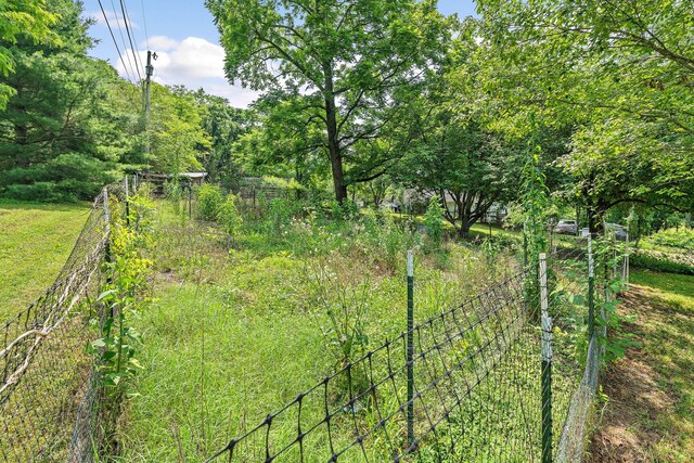 2952 Carters Creek Station Rd, Columbia, TN 38401 - view of yard