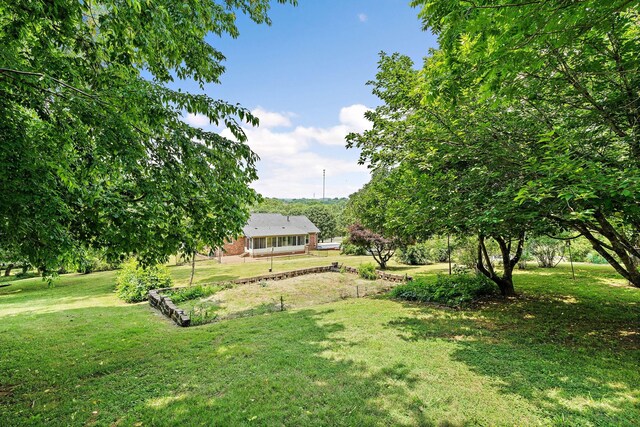 2952 Carters Creek Station Rd, Columbia, TN 38401 - view of green lawn
