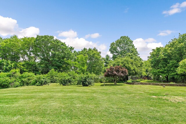 2952 Carters Creek Station Rd, Columbia, TN 38401 - view of green lawn