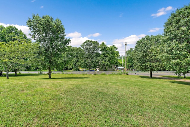 2952 Carters Creek Station Rd, Columbia, TN 38401 - view of grassy yard