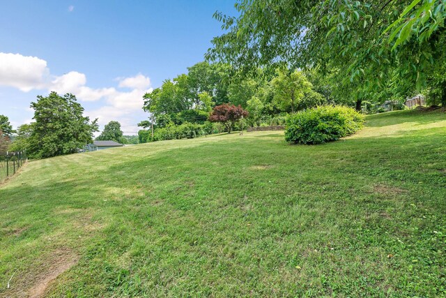2952 Carters Creek Station Rd, Columbia, TN 38401 - view of grassy yard
