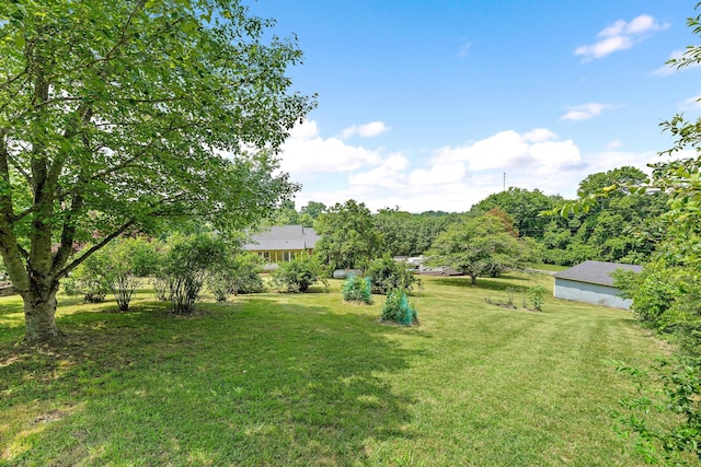 2952 Carters Creek Station Rd, Columbia, TN 38401 - view of green lawn