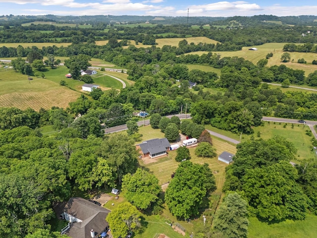 2952 Carters Creek Station Rd, Columbia, TN 38401 - aerial overview of property's location with rural landscape