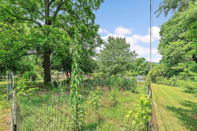 2952 Carters Creek Station Rd, Columbia, TN 38401 - view of local wilderness