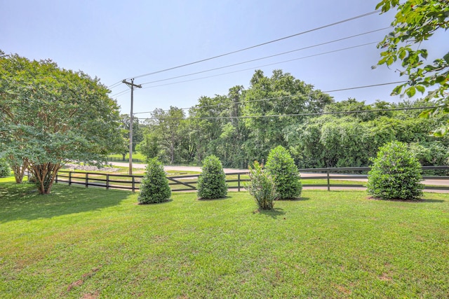 1030 Meandering Way, Franklin, TN 37067 - view of yard