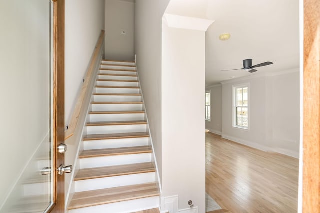 905 N 12th St Unit B, Nashville, TN 37206 - photo 3