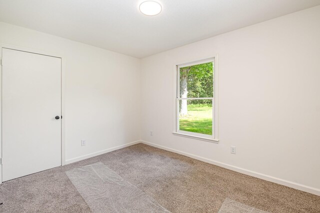 868 J D Todd Rd, Murfreesboro, TN 37129 - photo 20