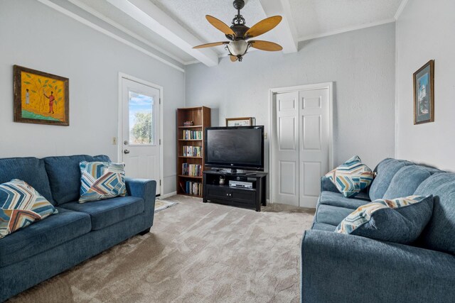 4904 Rainier Dr, Old Hickory, TN 37138 - living area with beamed ceiling, a ceiling fan, light carpet, and ornamental molding