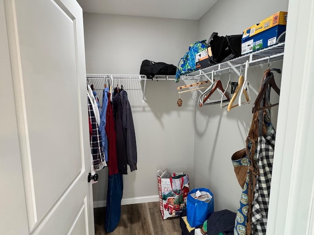 111 Stellar Ct, Clarkrange, TN 38553 - spacious closet featuring wood finished floors