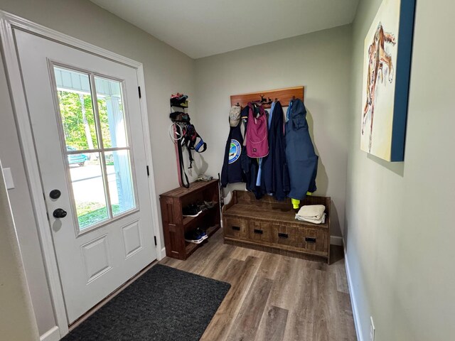 111 Stellar Ct, Clarkrange, TN 38553 - mudroom with wood finished floors and baseboards