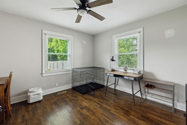 807 Brown St, Columbia, TN 38401 - office space with plenty of natural light, wood finished floors, a ceiling fan, and baseboards