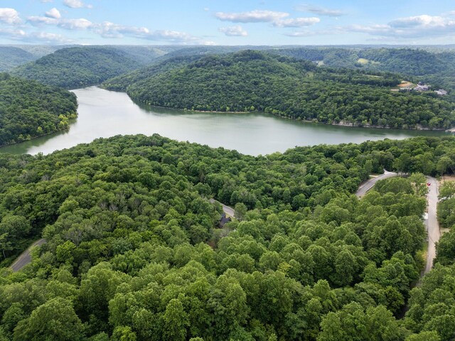 1440 Shoreside Dr, Smithville, TN 37166 - photo 62