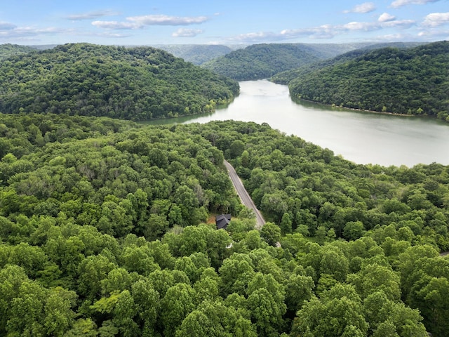 1440 Shoreside Dr, Smithville, TN 37166 - photo 64
