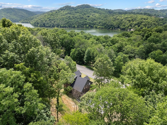 1440 Shoreside Dr, Smithville, TN 37166 - photo 56