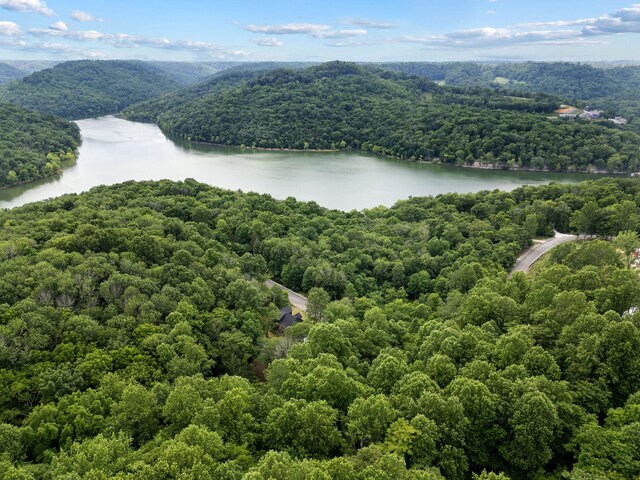 1440 Shoreside Dr, Smithville, TN 37166 - photo 63