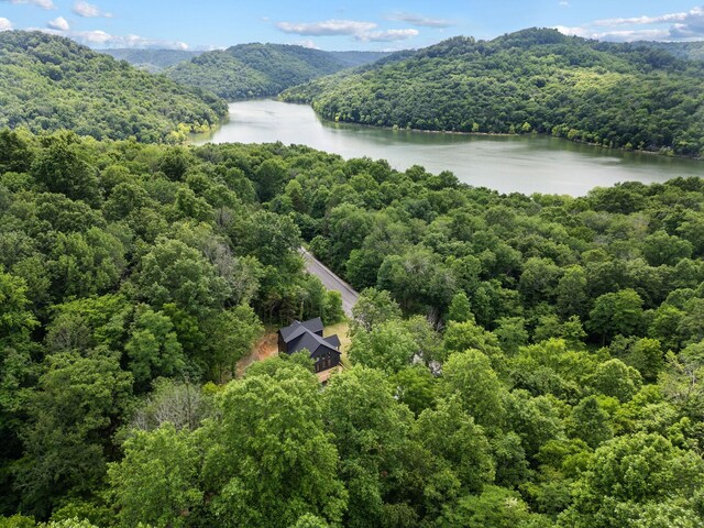 1440 Shoreside Dr, Smithville, TN 37166 - photo 58