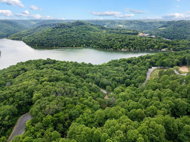 1440 Shoreside Dr, Smithville, TN 37166 - photo 61
