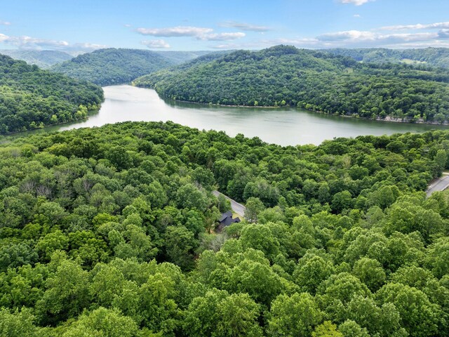 1440 Shoreside Dr, Smithville, TN 37166 - photo 60