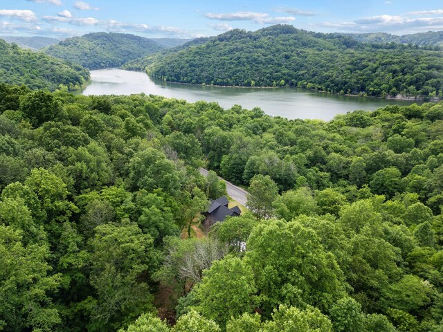 1440 Shoreside Dr, Smithville, TN 37166 - photo 59